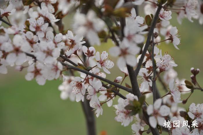 微信圖片_20251208153906_807_23