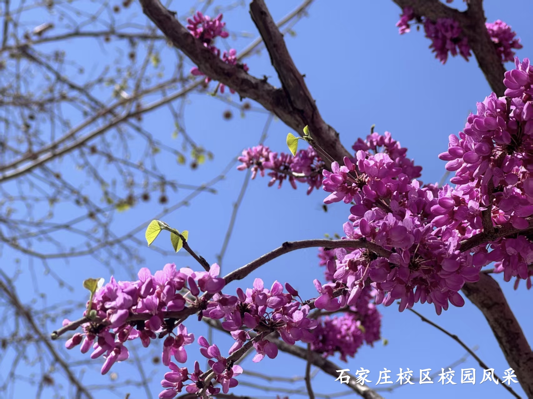 微信圖片_20251208162002_18_167